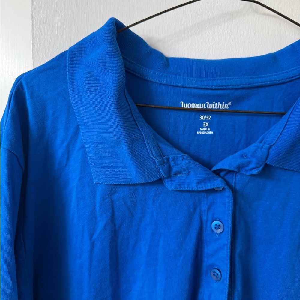 Woman Within Vibrant Blue Collared Shirt